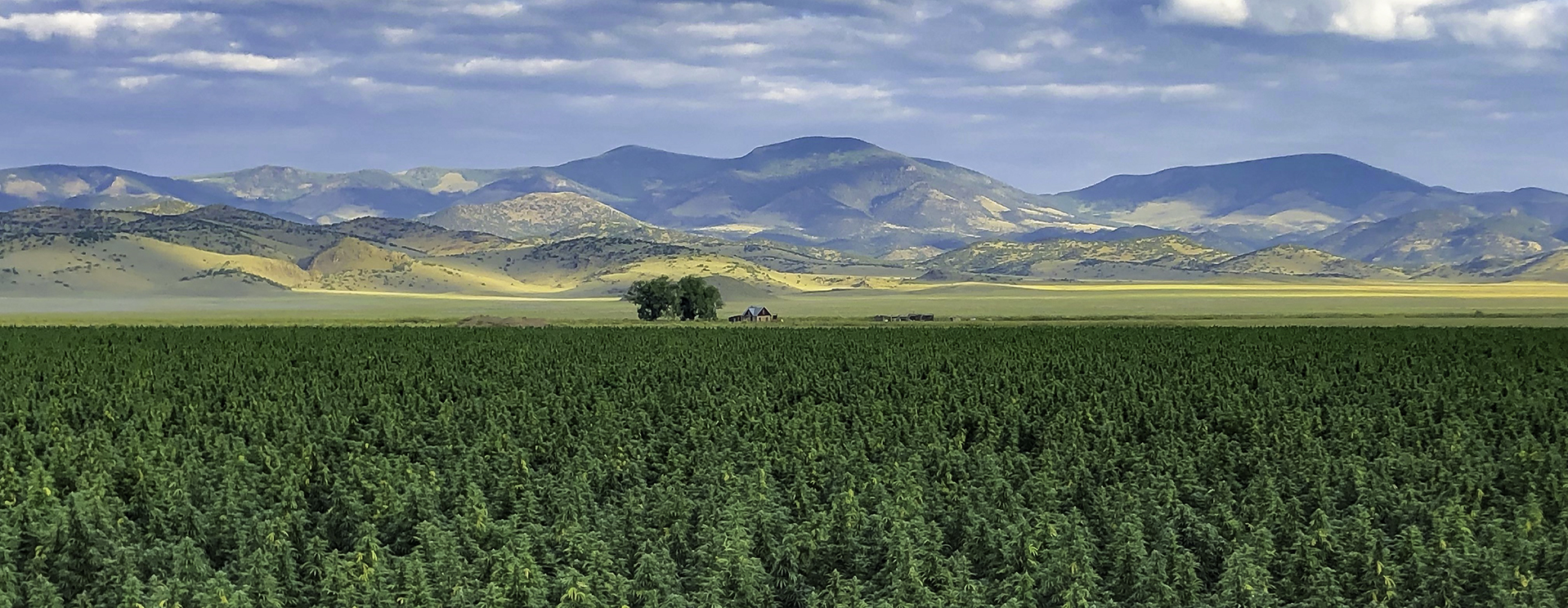 Cloud Co Farms - Our Farm - slide1