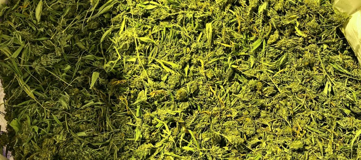 schucked biomass