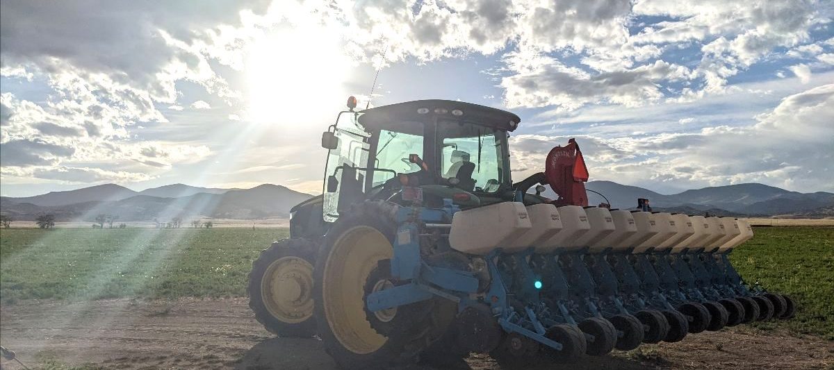 Planter 202222