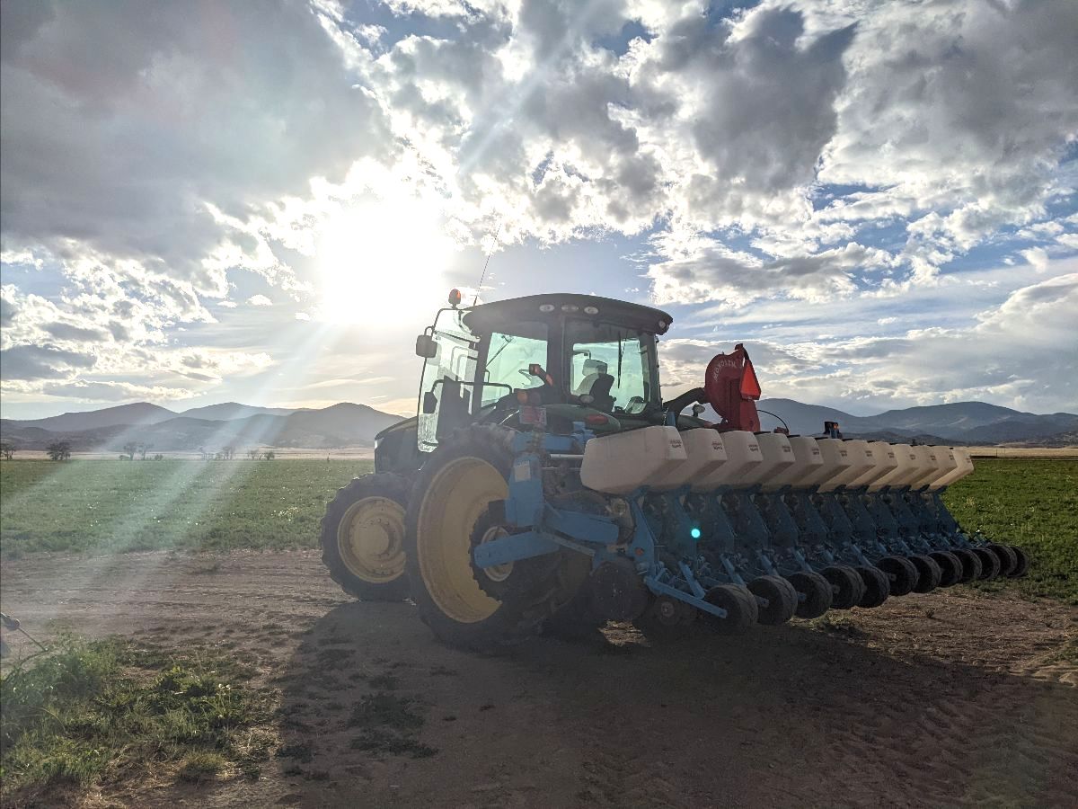 Planter 202222
