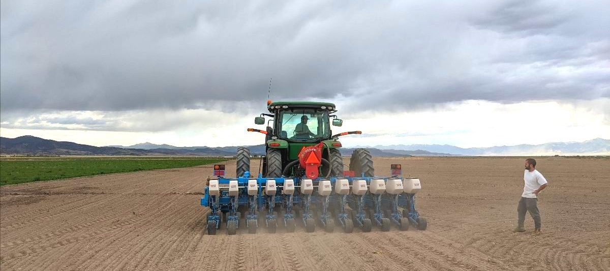 Planting 2022222