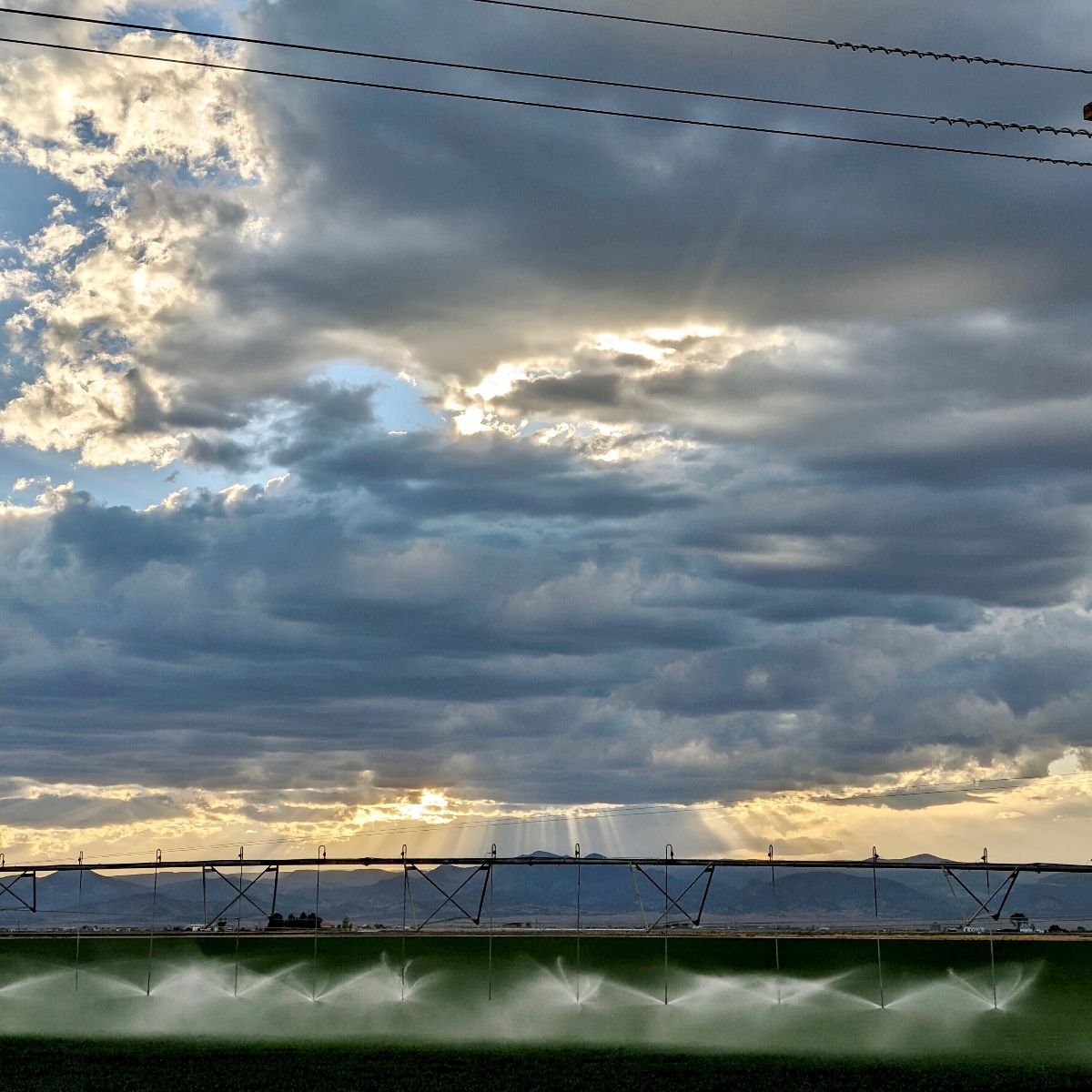 Sunset over the field