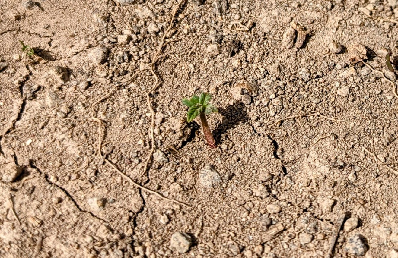 PXL_20230610_222059498~2